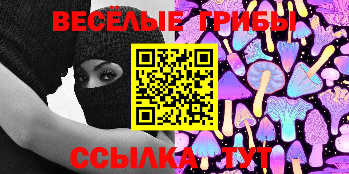 где купить наркоту  Вход с VPN  Ахтубинск  Галлюциногенные грибы Psilocybe 